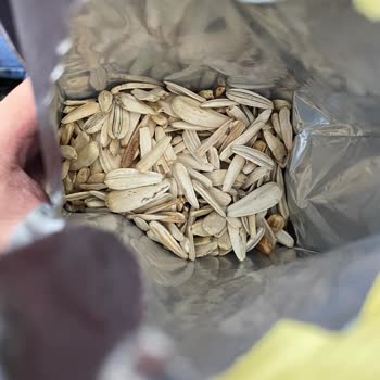 Çerezya Çekirdek Bayatlığı Ve Kötü Tadı