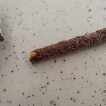 A101 Mağazasından Aldığım Biscolata Küflenmiş