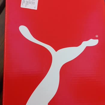 Pumaturkiyeoutletr.com Ayakkabı Almışız Ama 1 Ay Geçmeden İçi Yırtıldı