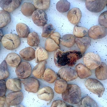 incircenneti.com Bozuk İncir Gönderilmesi