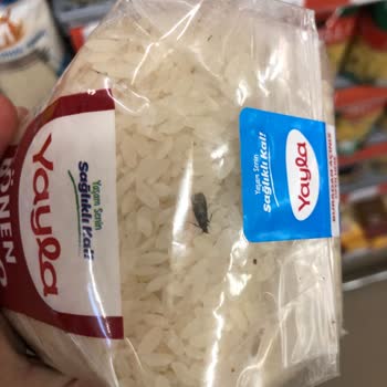 Yayla Bakliyat Yayla Markalı Baldo Pirinç Market Rafında Kurtlu