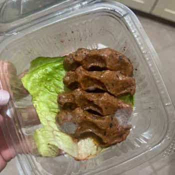 Güney Kebap Salonu Küflü Salata Gönderim