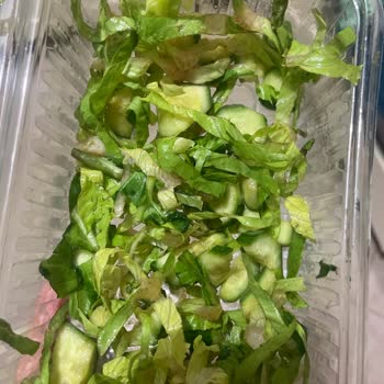 Güney Kebap Salonu Küflü Salata Gönderim