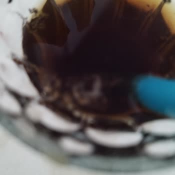 Tarım Kredi Meyve Suyunda Siyah Kurtlar