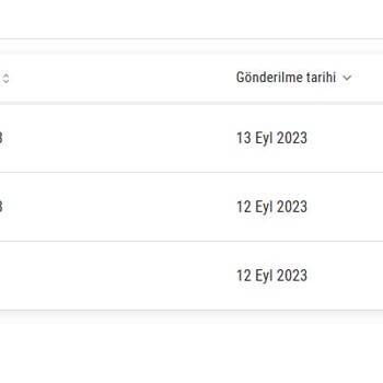 Payoneer Dolar Hesabım Uzun Süredir Aktif Olmadı