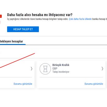 Payoneer Dolar Hesabım Uzun Süredir Aktif Olmadı