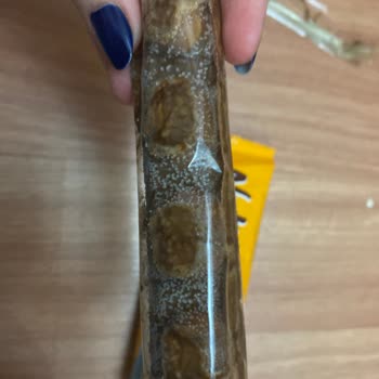 Nutymax Ürünün Üzerinde Benekler Var