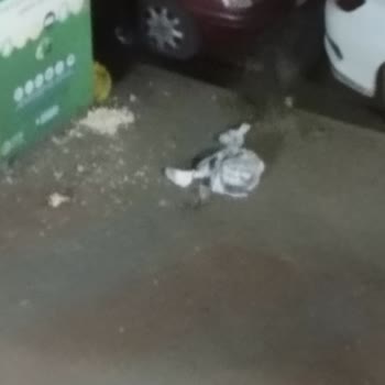 Osmangazi Belediyesi Sokağım Çöp İçinde