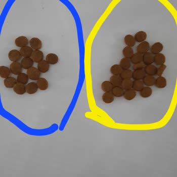N11 Sahte Kedi Maması