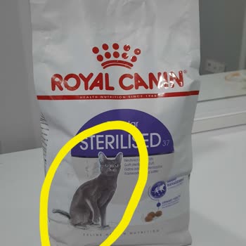 N11 Sahte Kedi Maması