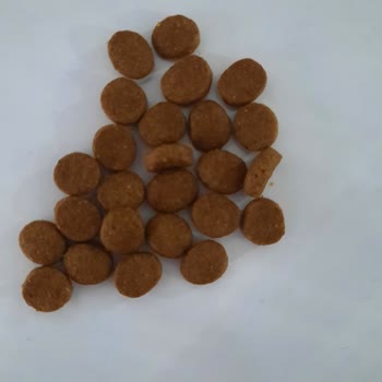 N11 Sahte Kedi Maması