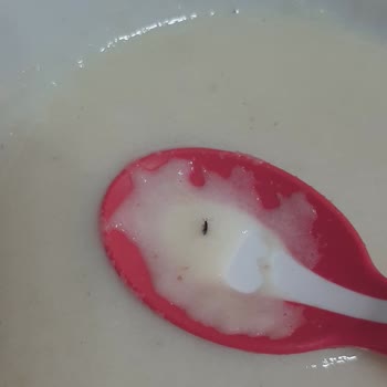 Hero Baby Mamanın İçinden Böcek Çıkması