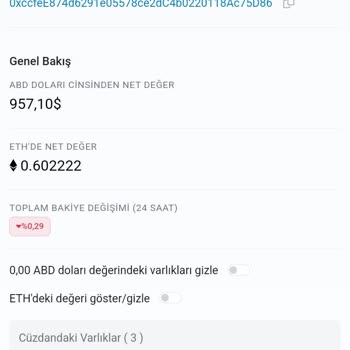 etherscan.io Tüm Önlemleri Aldığım Halde 6 Günde Boşaltıldı