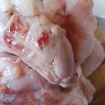 Gedik Piliç İçinden Çıkan Tuhaf Parça