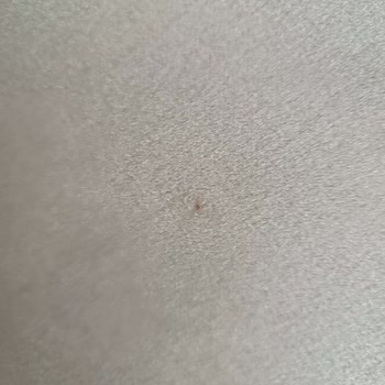 İnegöl Mobilya (Mardin) İnegol Mardin Mobilya Koltuk Takımı