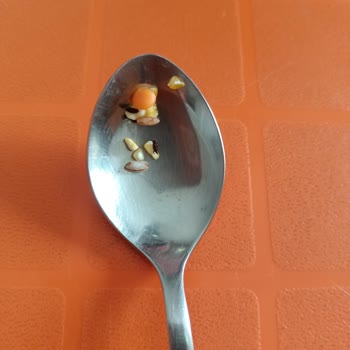 Üründen Böcek Çıktı