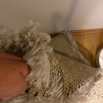 Şark Hereke Halı Yıkama'da Yırtılan Halı