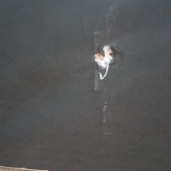 Yıldız Mobilya (Antalya) Koltuk Takımı Kırık Ayak