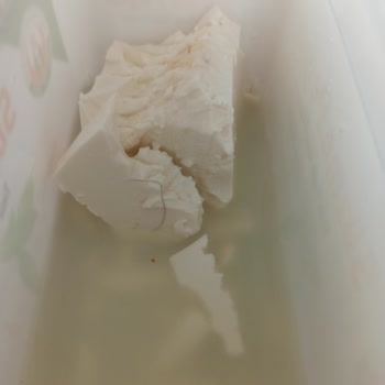 Tarım Kredi Kooperatif Market Tarım Kredi Peynirinden Kıl Çıktı