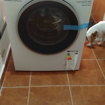 Bosch Çamaşır Makine Hakkında