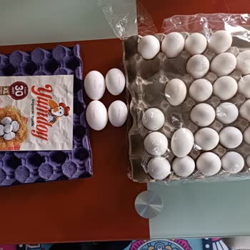 Yumdoy Kolinin Kenarı XL Boy, İç Kısımları Small Boy