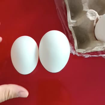 Yumdoy Kolinin Kenarı XL Boy, İç Kısımları Small Boy