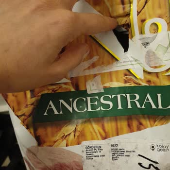 Amazon Kedi Köpek Mamalarında Yırtık Paket