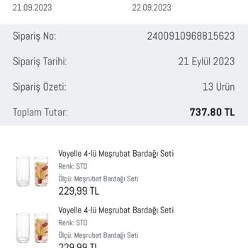 Madame Coco Kırık Bardak Geldi