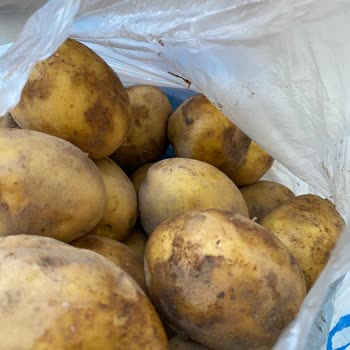 Migros Sipariş Teslimatını Planlanan Gün Ve Saatte Gerçekleştirmedi