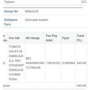 Türkiye Hayat Emeklilik BES İptali Süreci 6 Aydır Geri Ödeme Olmadı