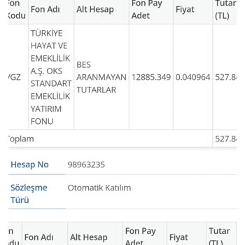 Türkiye Hayat Emeklilik BES İptali Süreci 6 Aydır Geri Ödeme Olmadı
