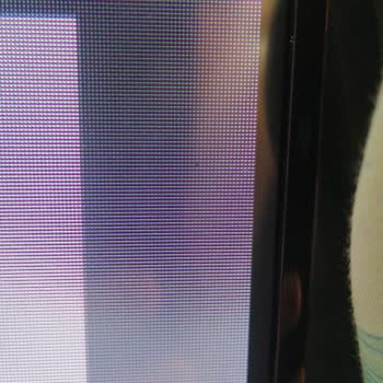 Sunny SN32DIL13 HD 32 TV'de Siyah Nokta Sorunu