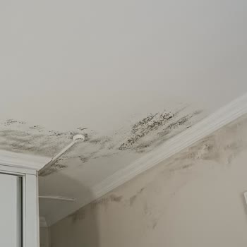 Ganita Holiday Village Temizlik Denen Bir Şey Yok