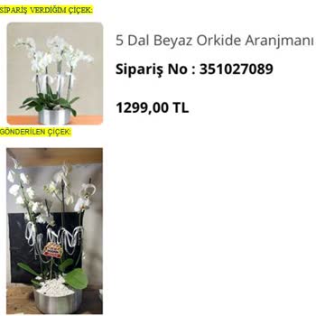 Çiçek Sepeti'nden Son Derece Kötü Orkideler!