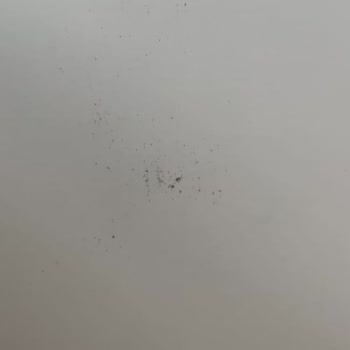 Vivense Ev Eşyaları Talihsizliği