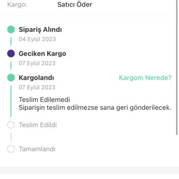 Dolap'tan Sattığın Kargom Kayıp