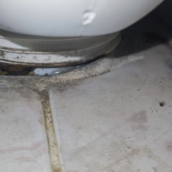 Hatalı Monte Edilen Vitra Klozet