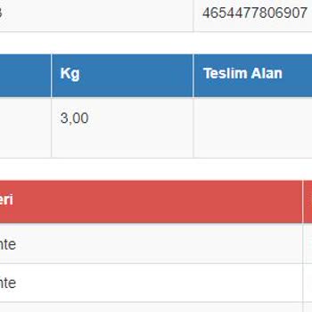 Sürat Kargo Niğde Şubesi Ürünün Teslim Edilmemesi