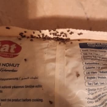 Tat Bakliyat Nohudun Kurtlanmış Olması