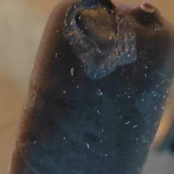 Algida Frigola Dondurma Paketin İçinden Isırılmış Gibi Çıktı