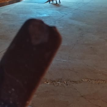 Algida Frigola Dondurma Paketin İçinden Isırılmış Gibi Çıktı