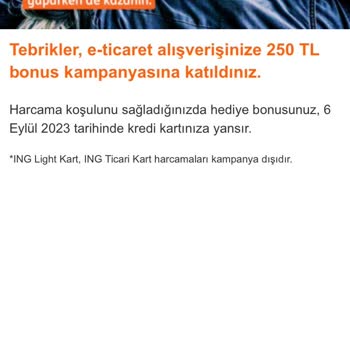 ING Kampanyadan Kazanmış Olduğum Puan Yüklenmedi.