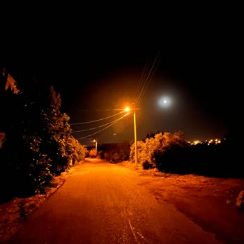 iPhone Kamera Çiziği Sorunu