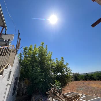 iPhone Kamera Çiziği Sorunu