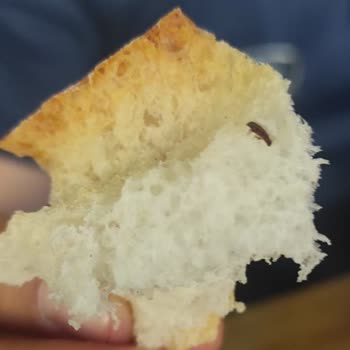 Migros'tan Aldığım Ekmek İçerisinden Böcek Çıktı