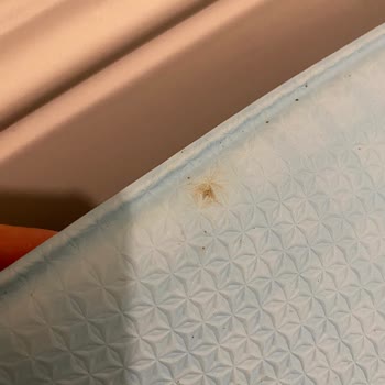Unigo Kendiliğinden Lekelerin Çıkması