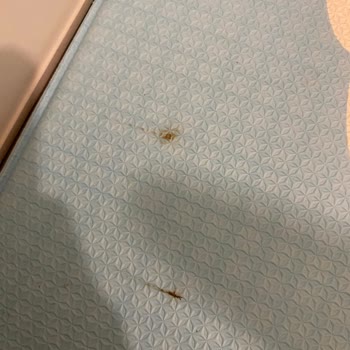 Unigo Kendiliğinden Lekelerin Çıkması