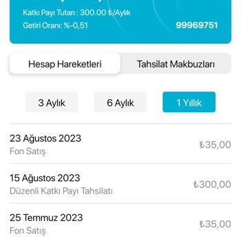 Türkiye Hayat Emeklilik BES Kayıp Yaşama