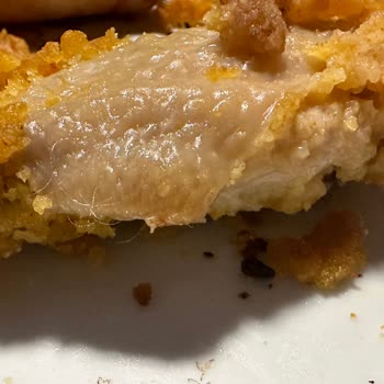 Lezita Tavuk Kılı Temizlenmemiş