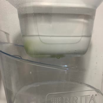 Brita Sürahi Yosunlanma Problemi